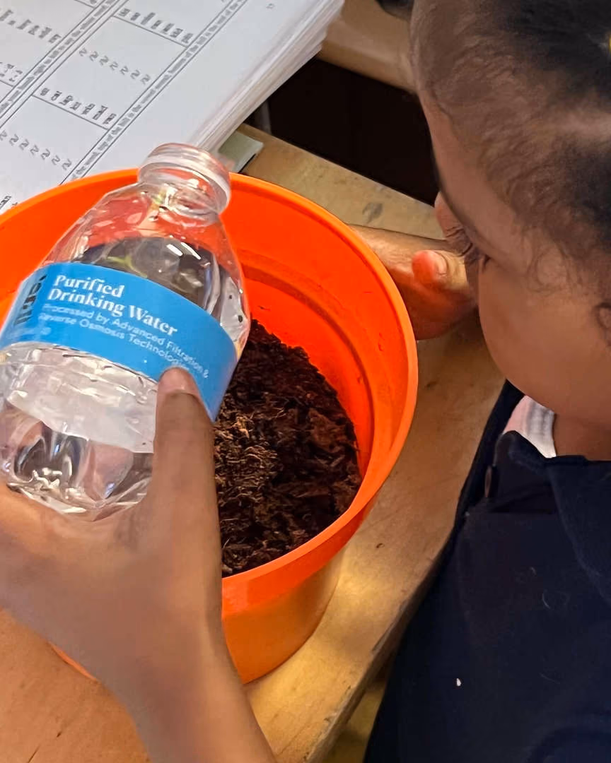 Student watering soil in an orange bucket during science class