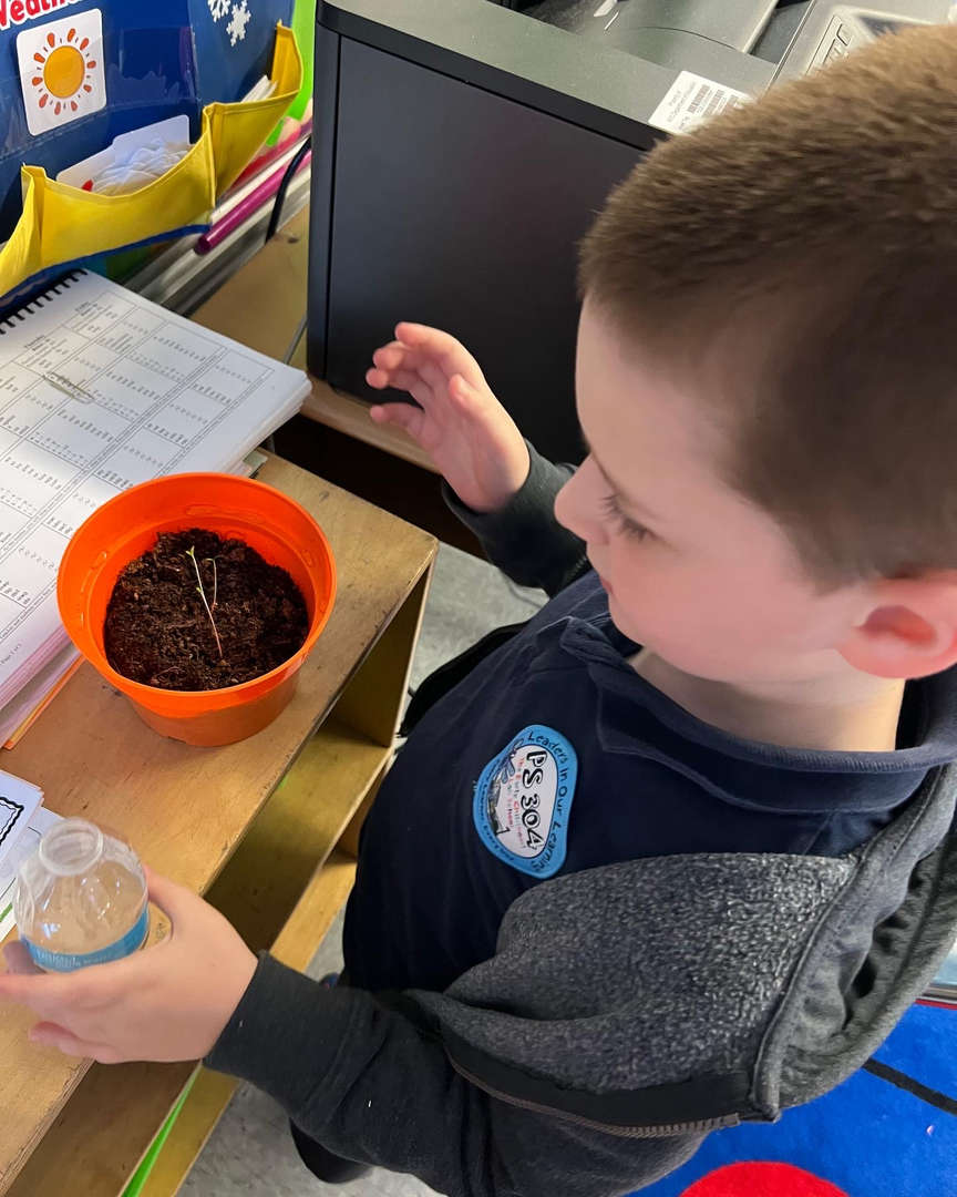 Student examining a sprouting seedling in an orange classroom pot