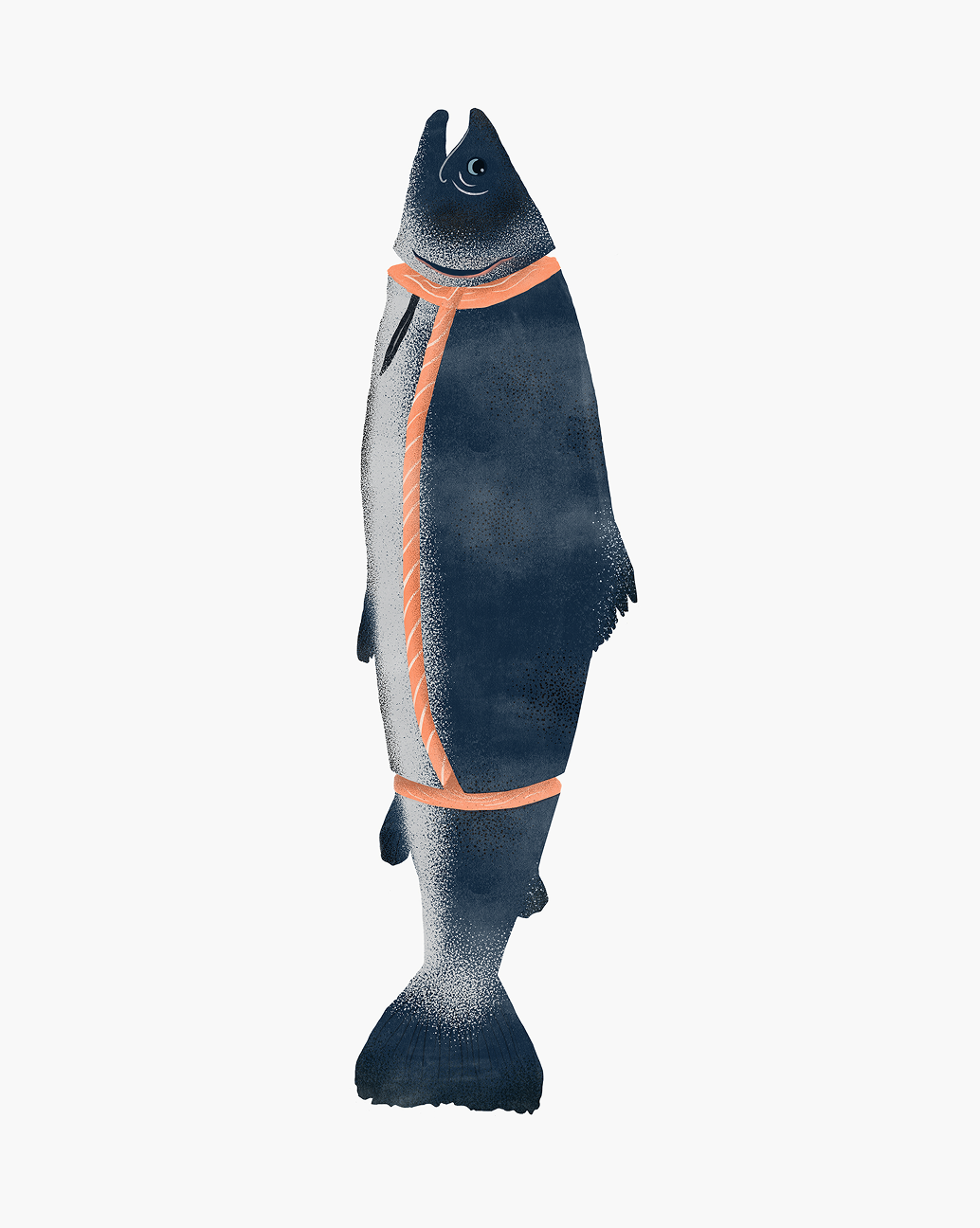Ilustração de salmão inteiro