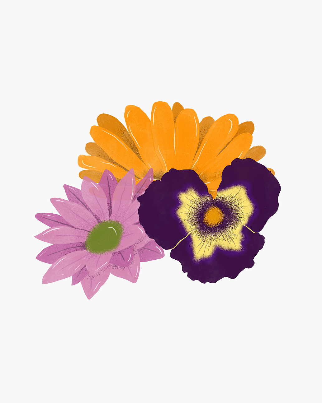 Ilustração de flores comestíveis em laranja, roxo e rosa