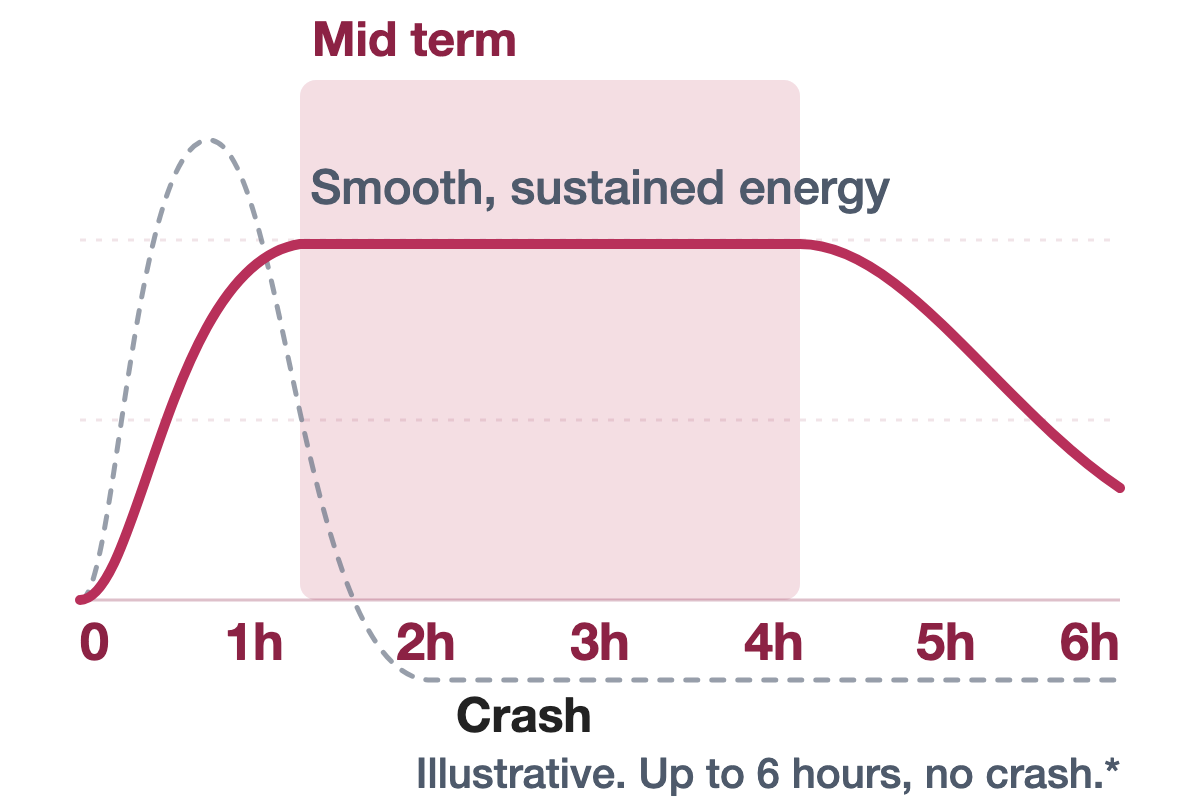 The same energy curve with the middle, mid-term phase highlighted: the long plateau of sustained energy.