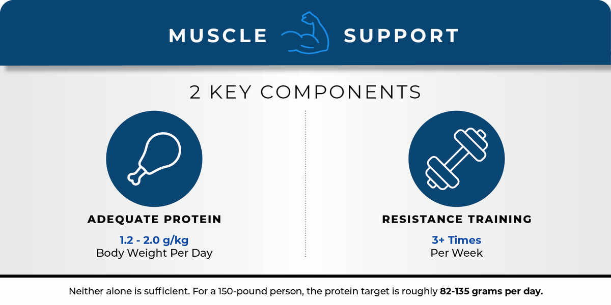 Two key components of muscle support: adequate protein (1.2 to 2.0 grams per kilogram of body weight per day) and resistance training (3 or more times per week)