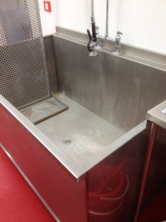Sink and wash system
