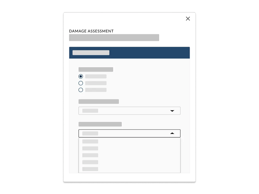 FEMA public assistance software for government.