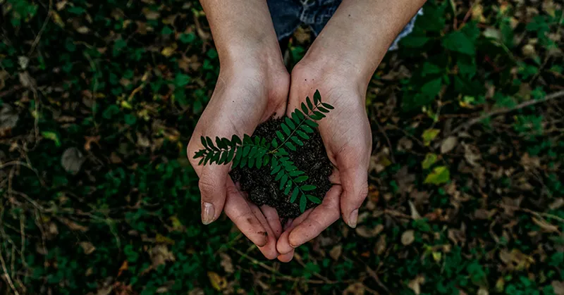 Celebrating Earth Day Amid COVID-19: Earth Day 2020.