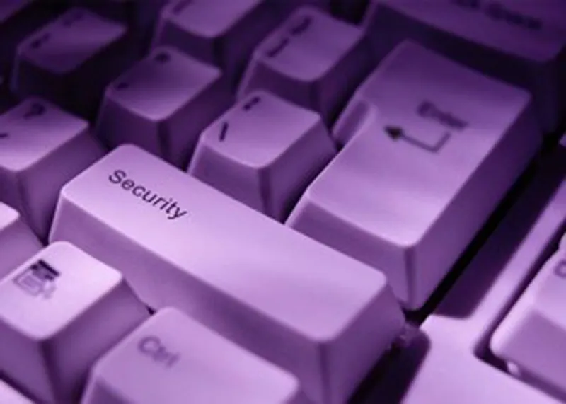 Is Your Website Vulnerable .