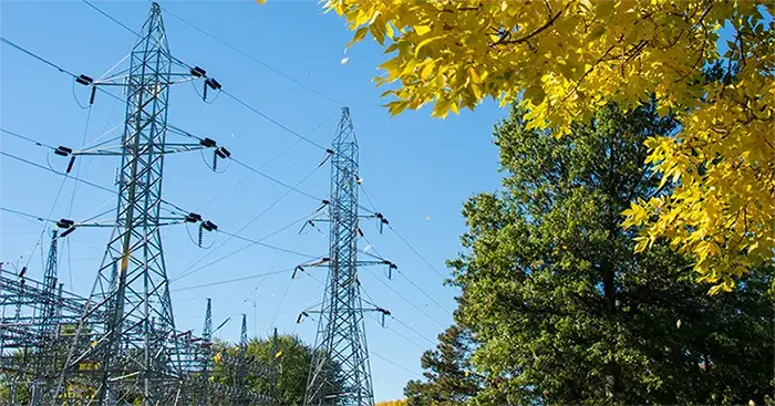 How Vegetation Management Keeps the Grid Going: Vegetation Management for Utilities.