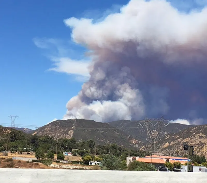 Veoci Team Member part of CA Blue Cut Fire Evacuation.