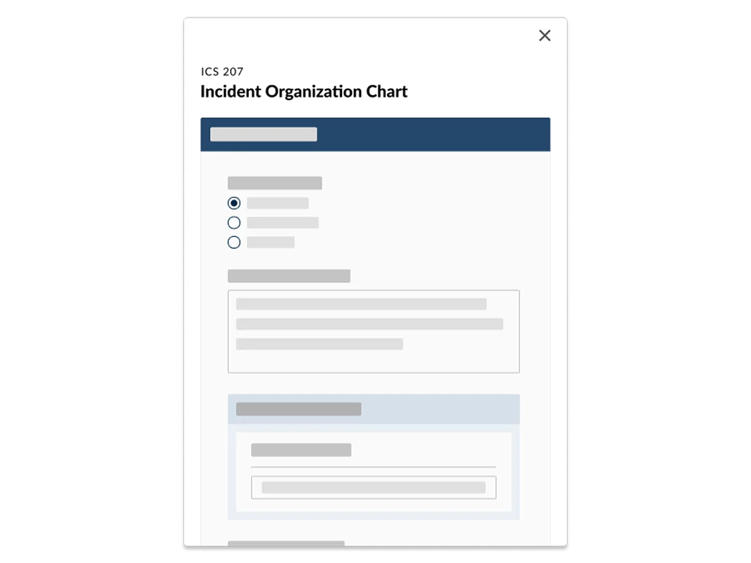 IAP and ICS forms for higher education.