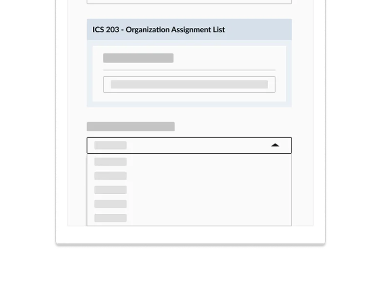 IAP and ICS forms for higher education.