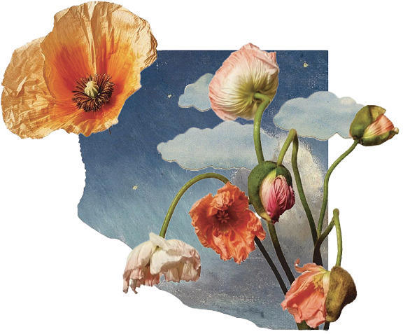 Flowers collage