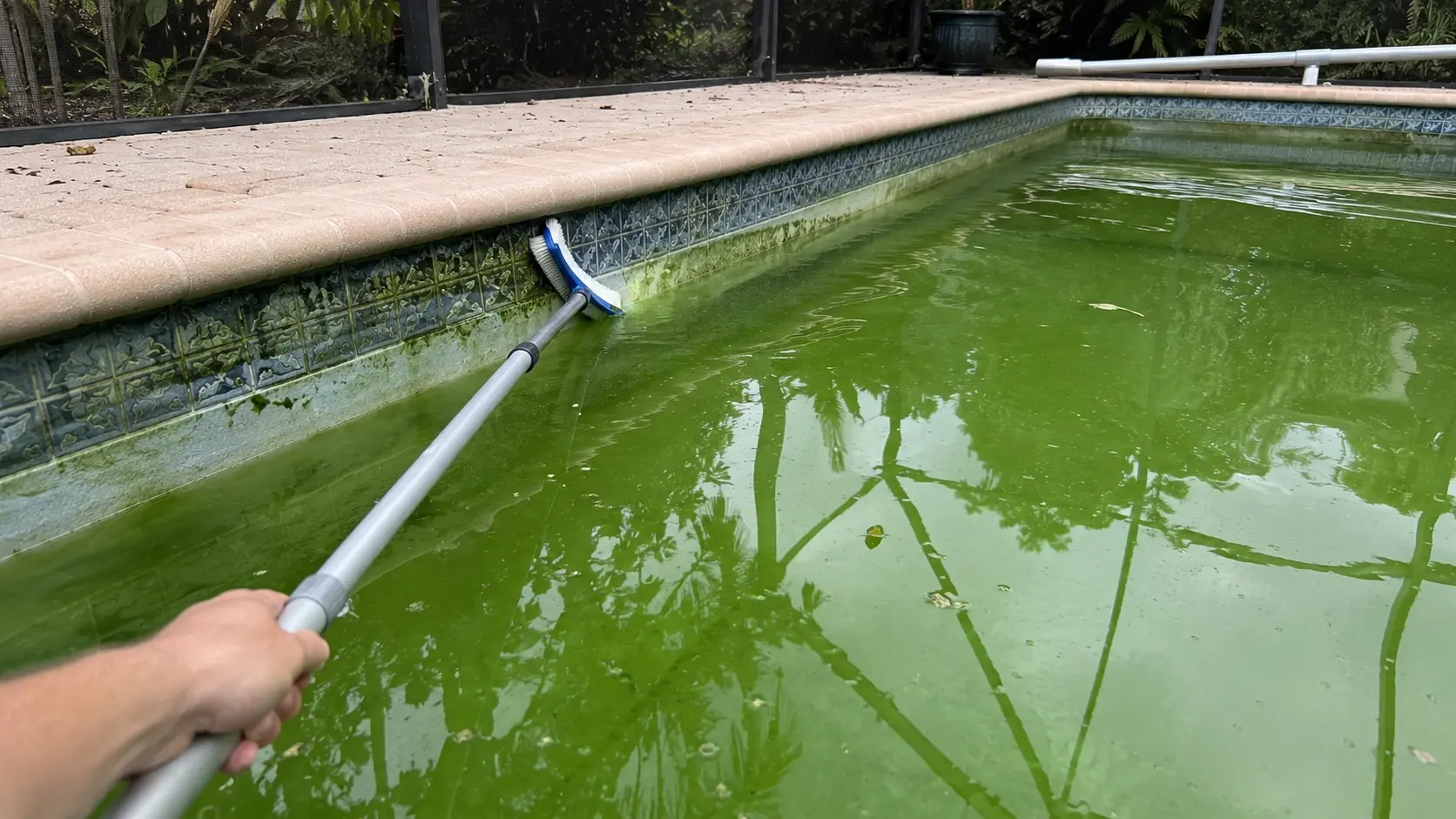 Green-to-Clean Recovery