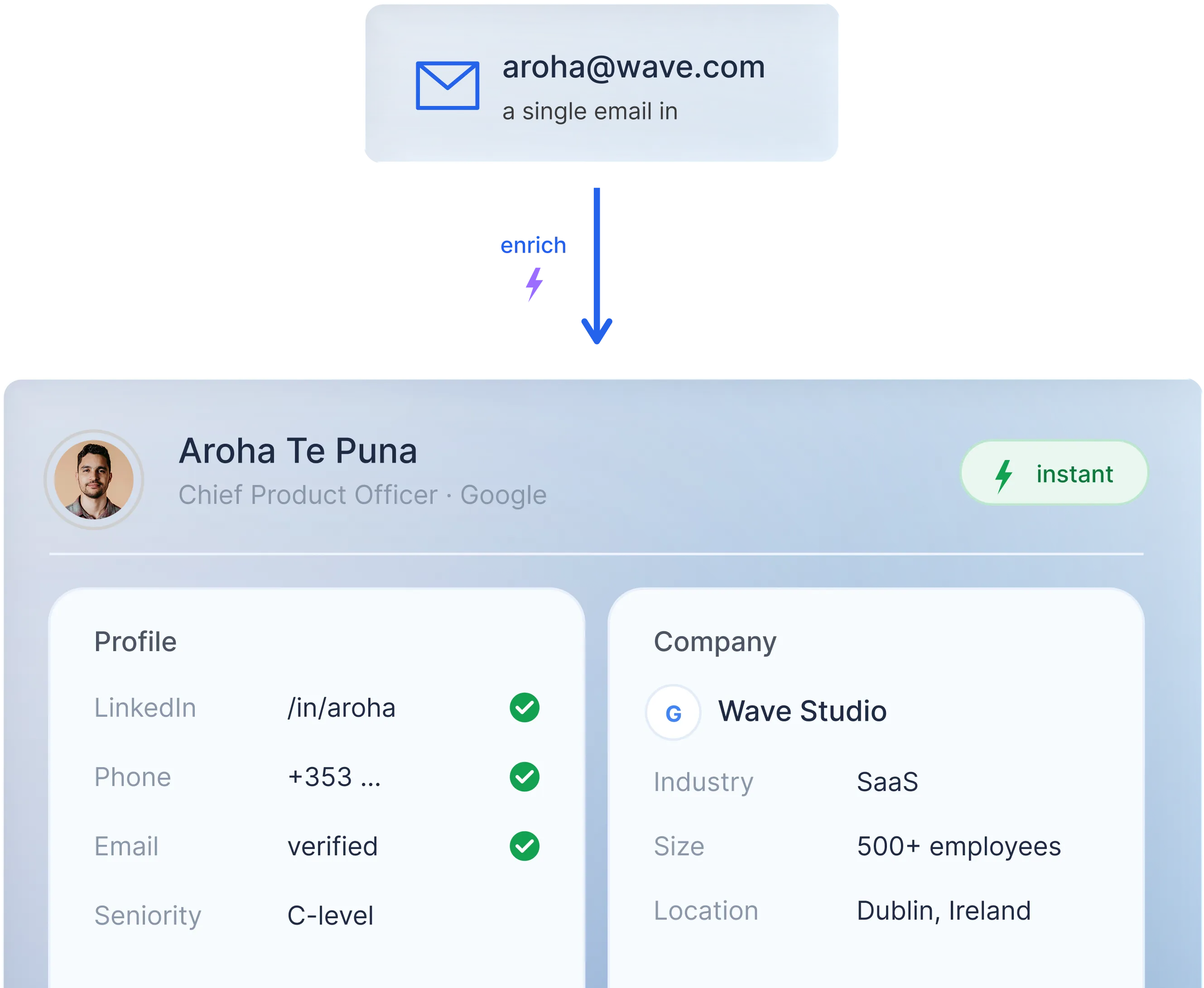 Product screenshot showing a single email address instantly enriched into a full contact and company profile.