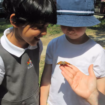 Science and Social Studies