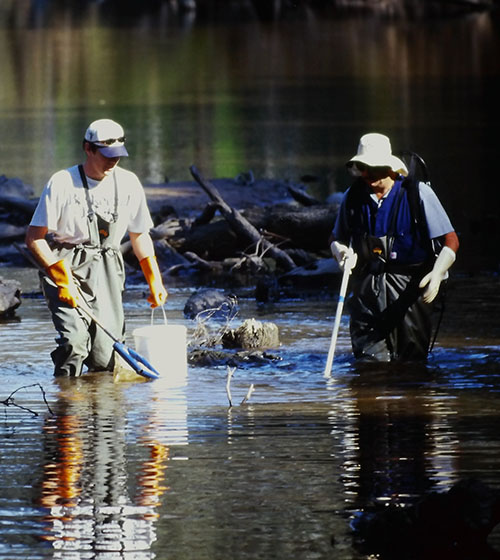 Two researchers wading in a river conducting aquatic sampling and field data collection for monitoring design and review by Gyre & Gimble Consulting