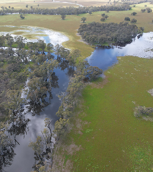 Aerial view of a meandering river and floodplain wetland for environmental flow planning and restoration strategies