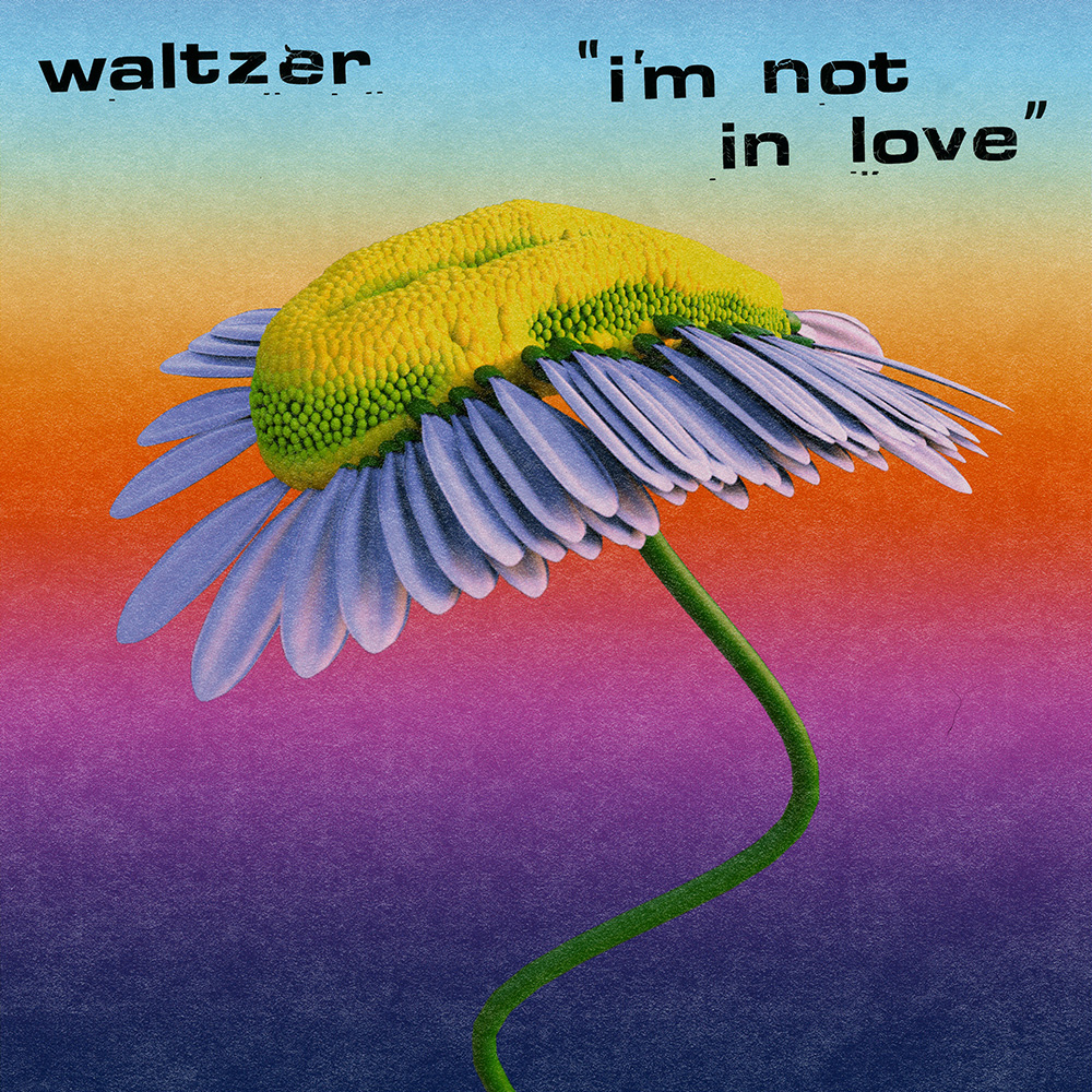 10cc _ I'm Not In Love