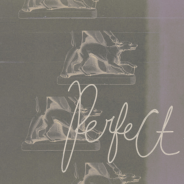 Immaterialize _ Perfect