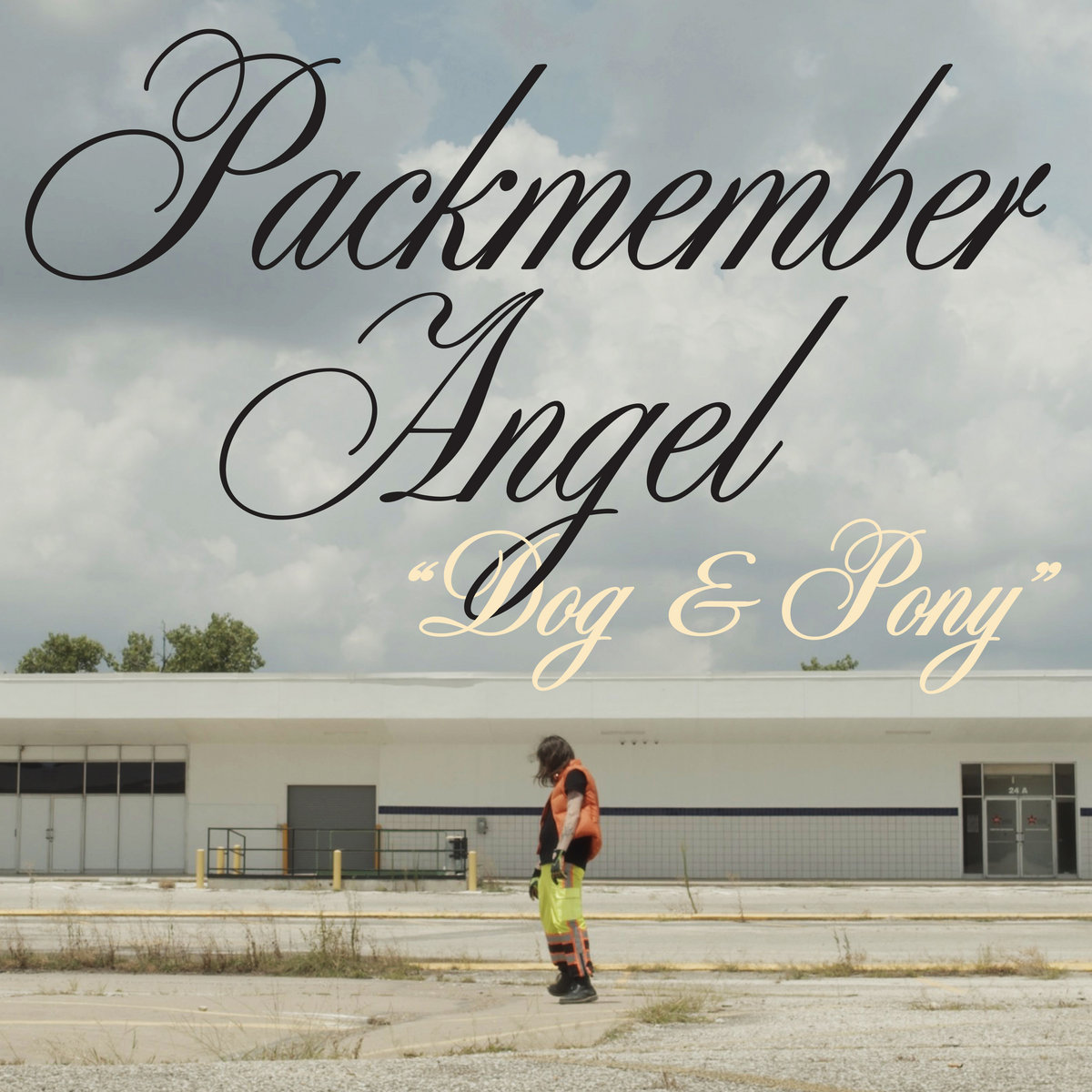 Packmember Angel - Dog & Pony single