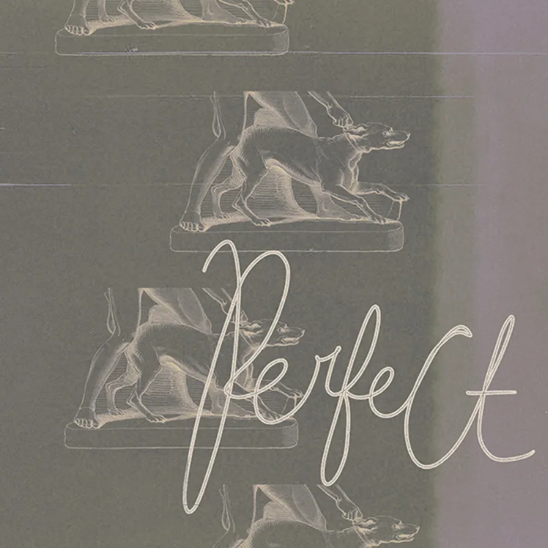Immaterialize _ Perfect