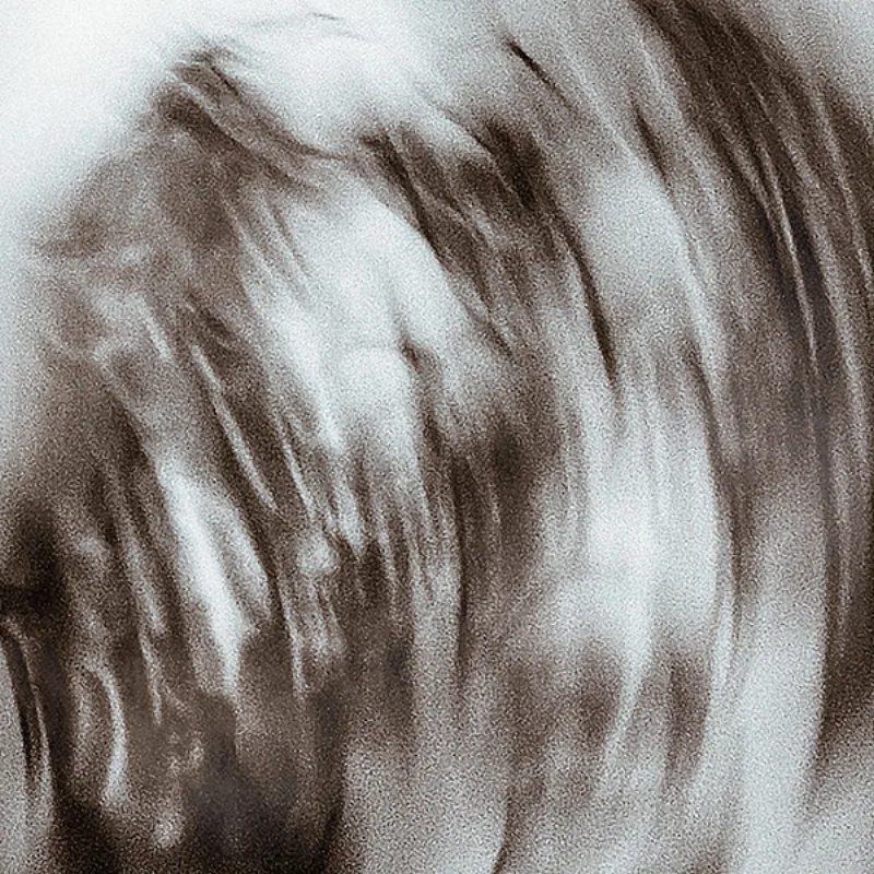 Leash - Eternity Leave