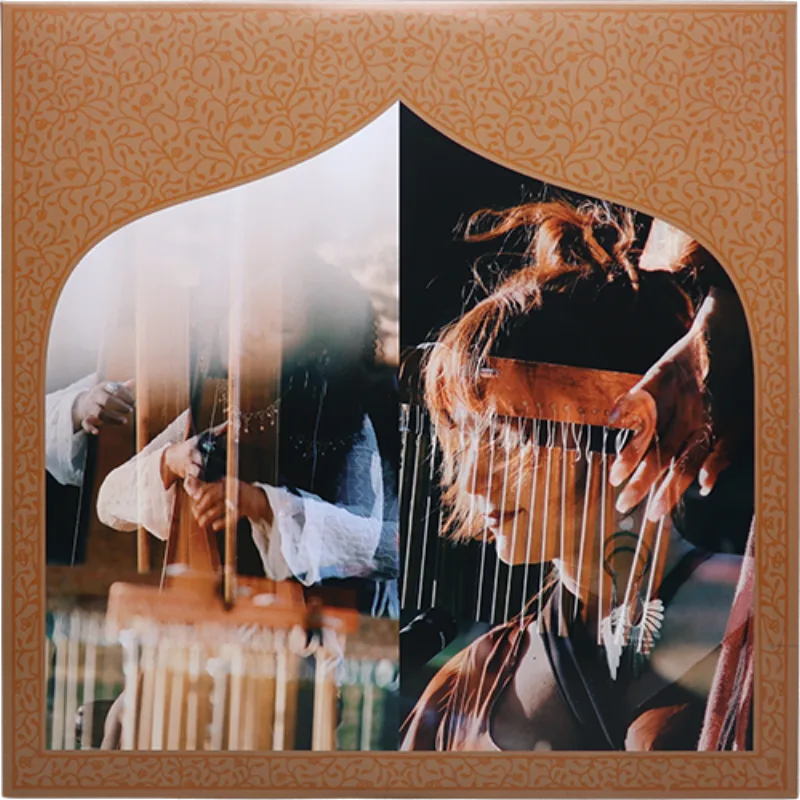Nailah Hunter & Alia - The Pavilion of Dreams LP
