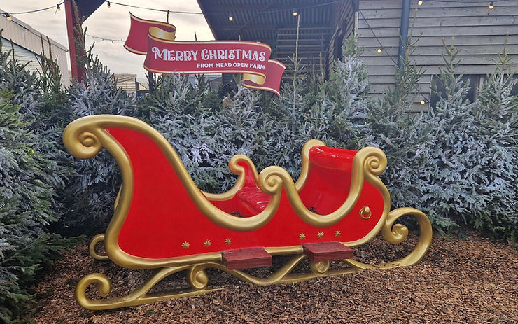 Red and gold sleigh in front of snow-dusted trees. Sign reads "Merry Christmas from Mead Open Farm." Festive and cheerful scene.