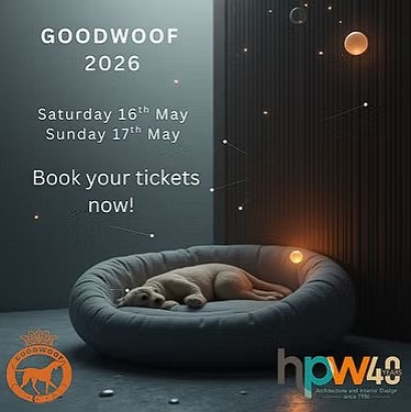 The ultimate dog’s day out!