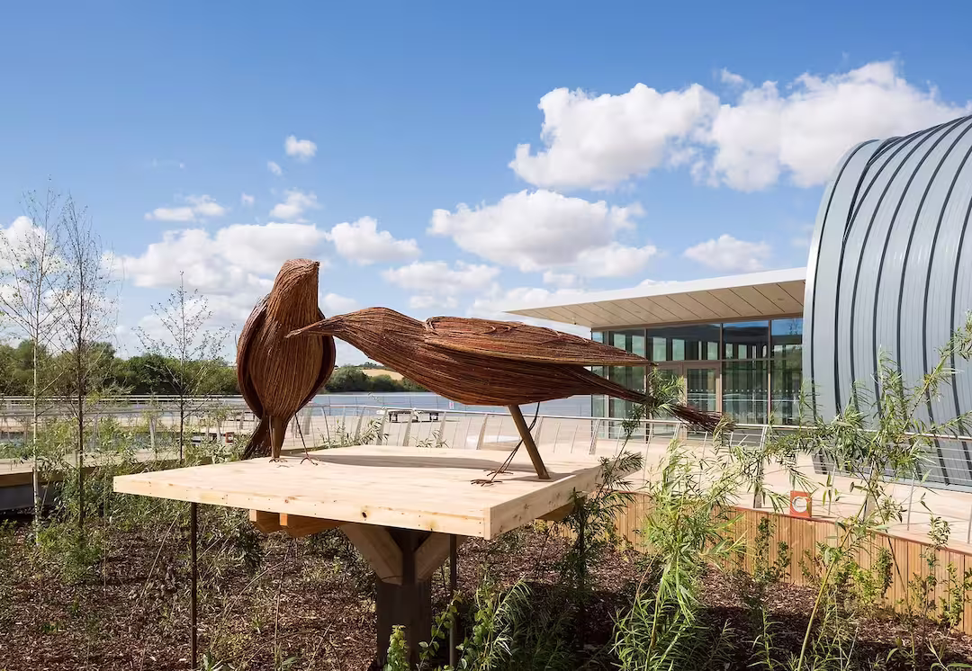 Sustainable Architecture Materials: A Visionary Guide to Innovative Design