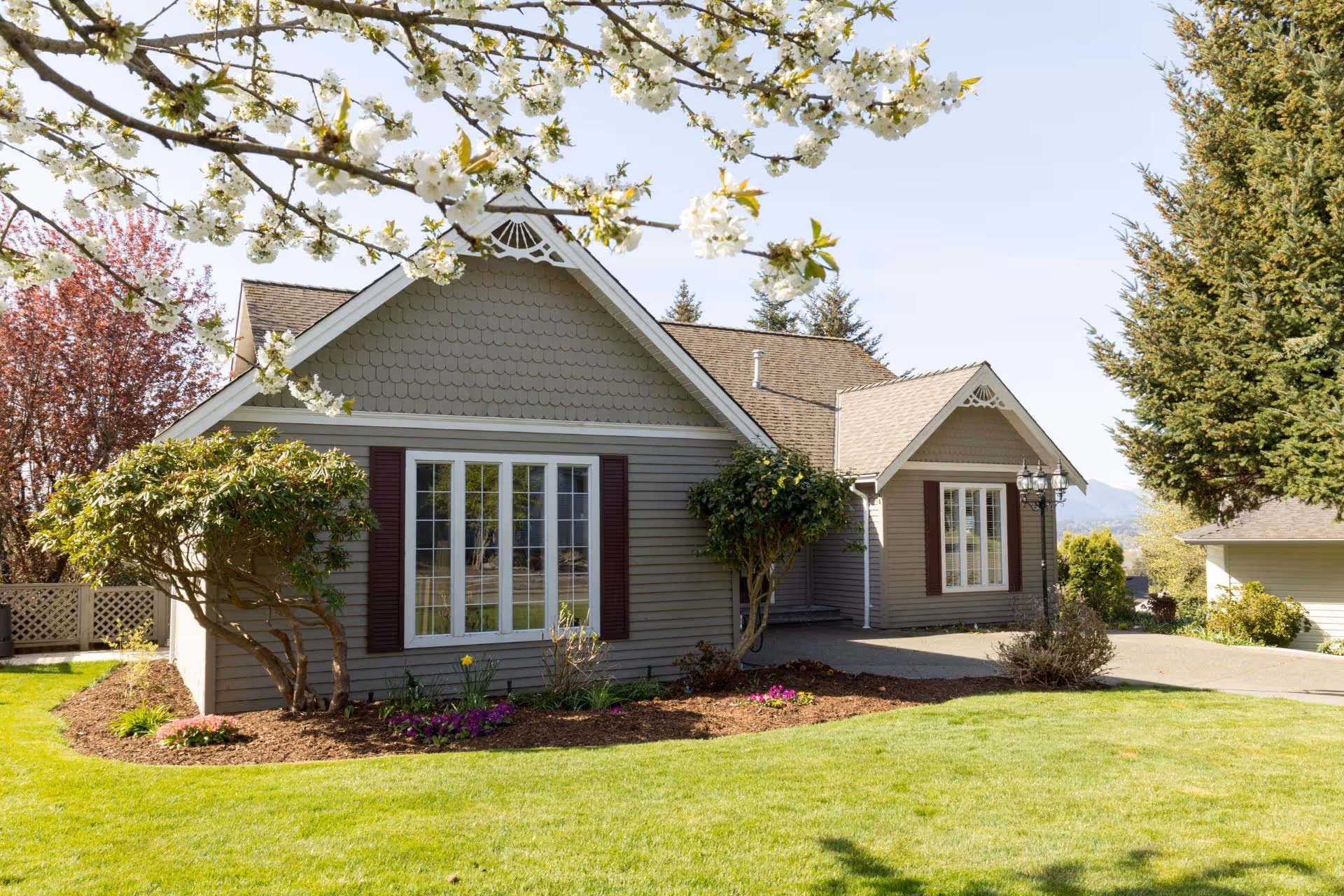 Grey suburban house with purple shutters, flowering bushes, and green lawn in springtime.