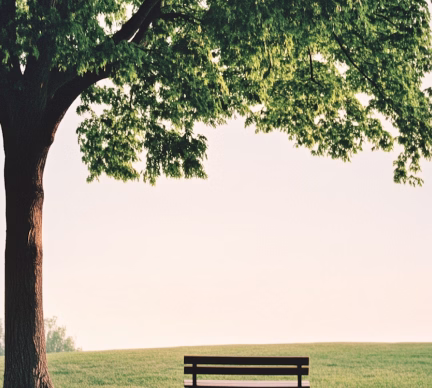 service-creative-tree-image