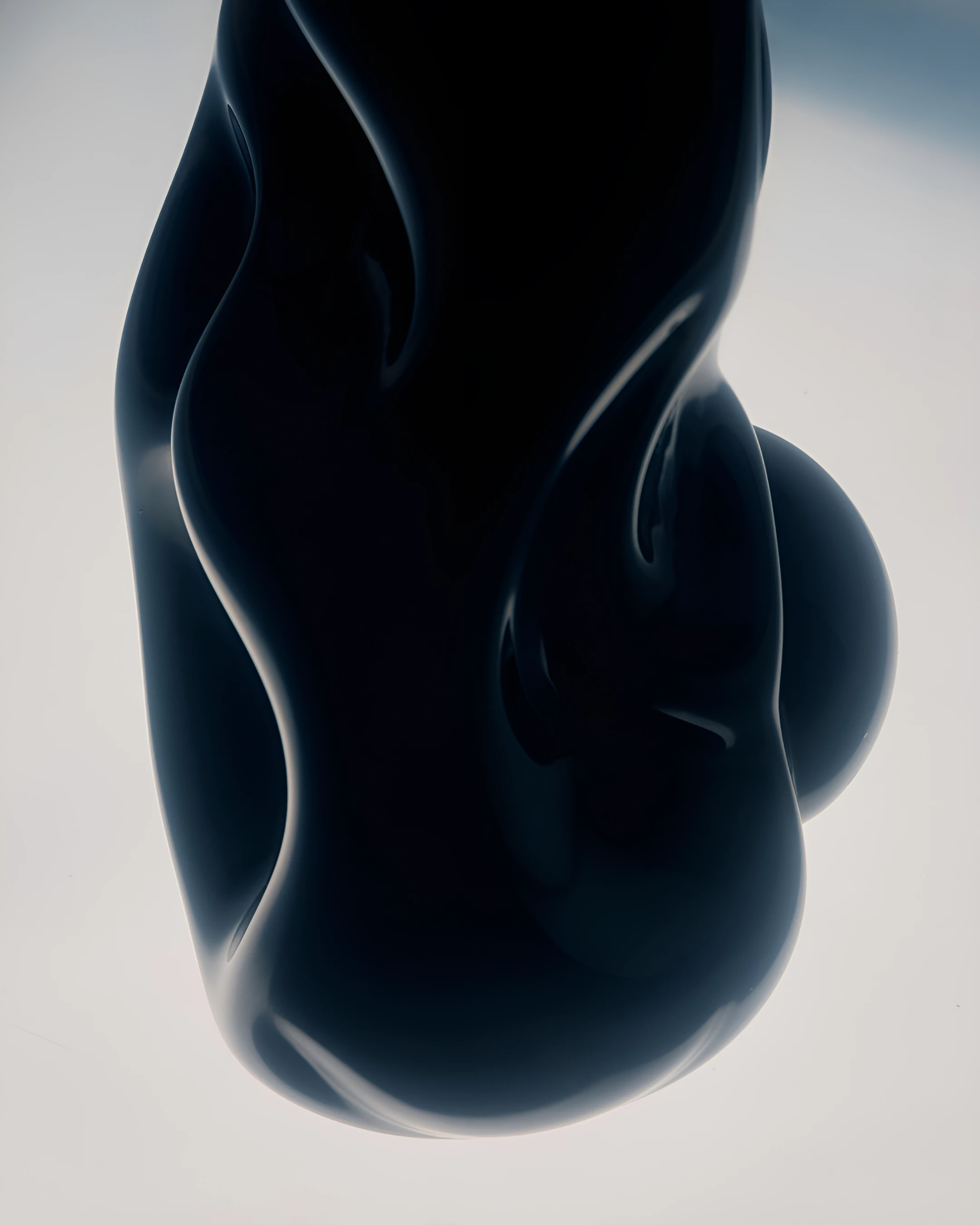 Dark sculptural form against a pale background