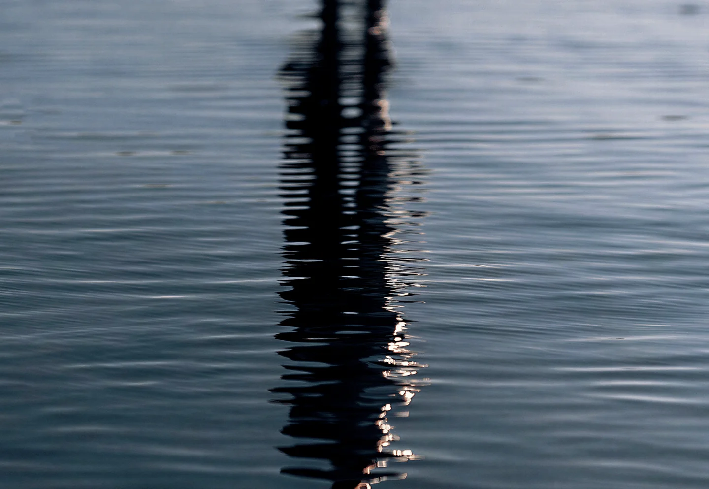 Light reflected on still, dark water