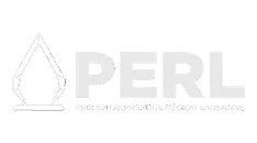 Logo de Perl avec une flamme stylisée à gauche et le texte « The Language of the Web » en dessous.