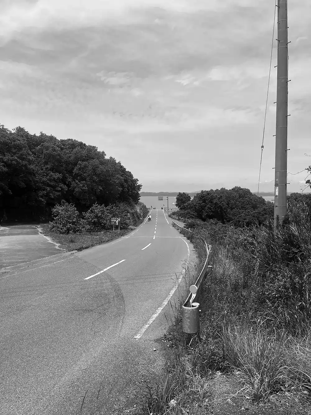 Black-and-white photo of a winding coastal road lined with trees, captured by Ampersand team member Rinn Chen