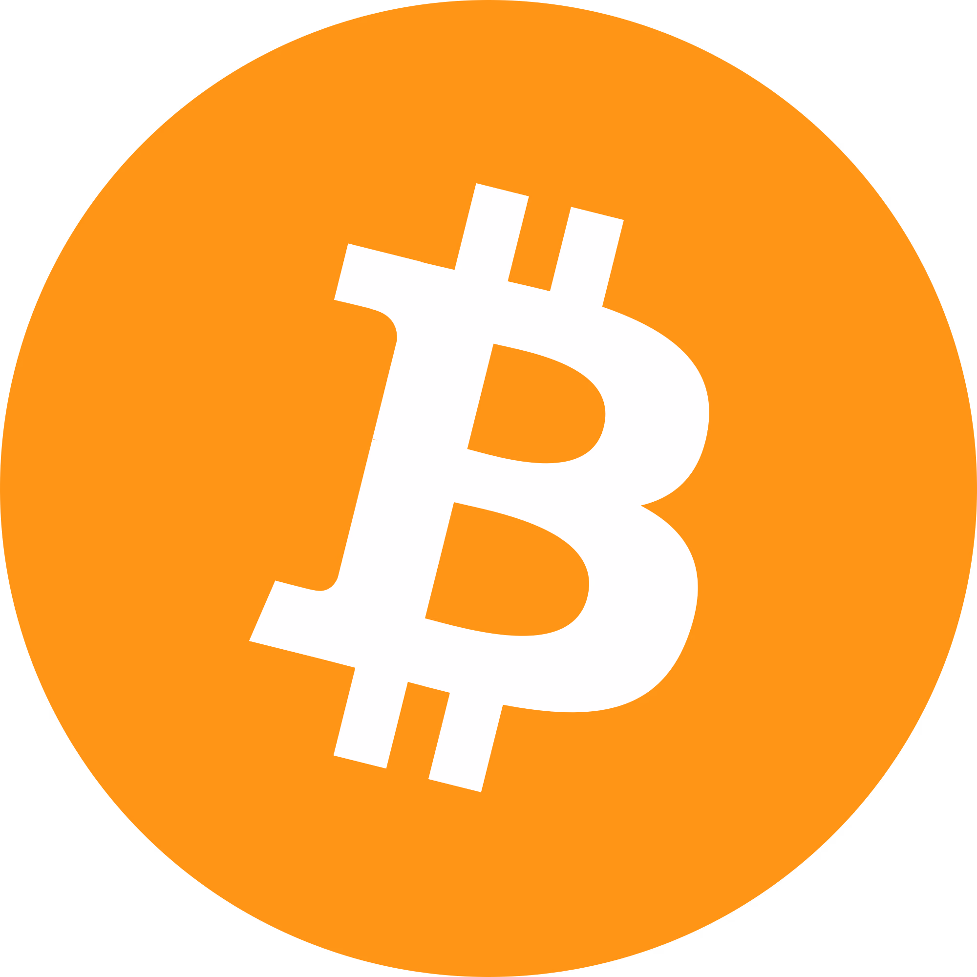 Bitcoin (BTC) Logo
