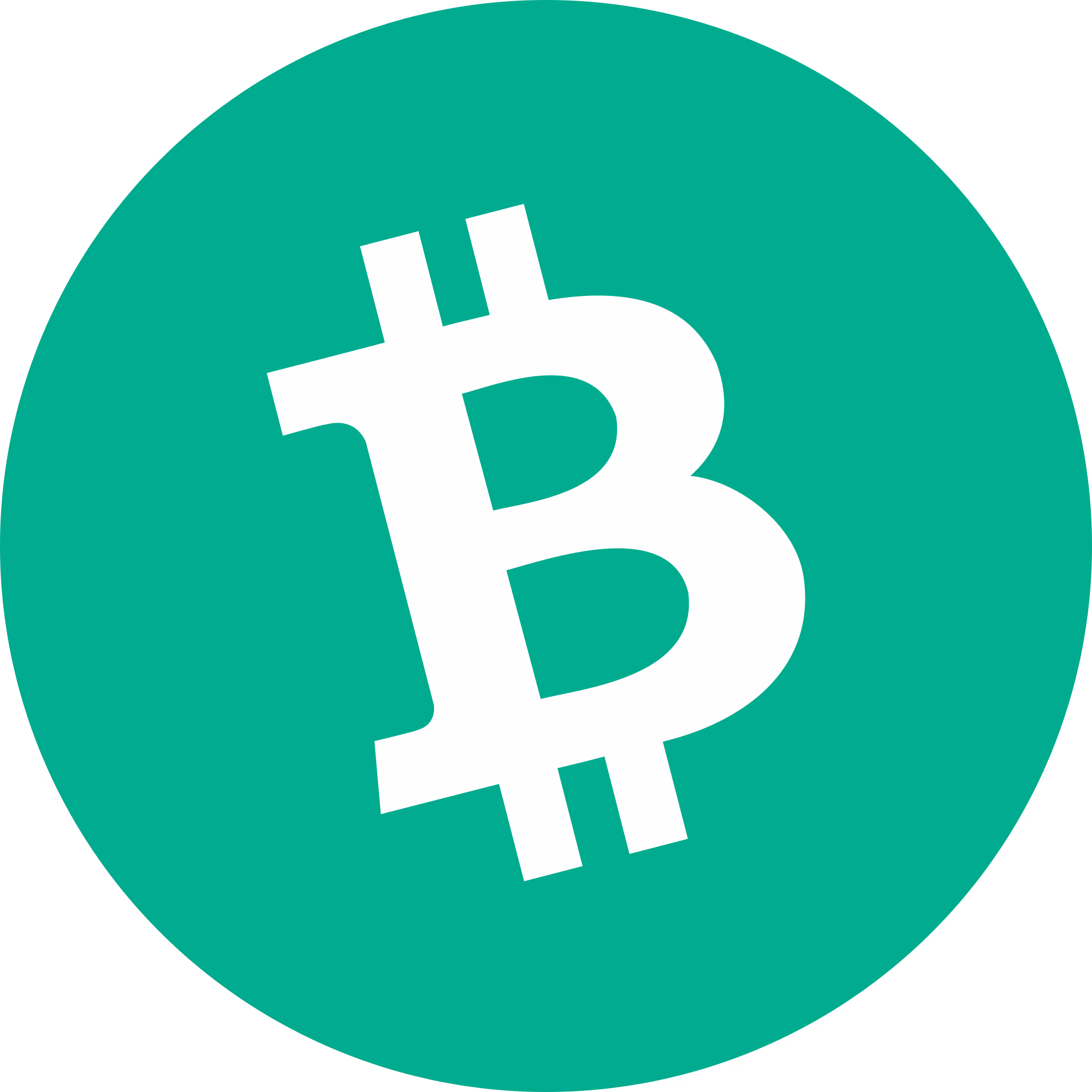Bitcoin Cash (BCH) Logo