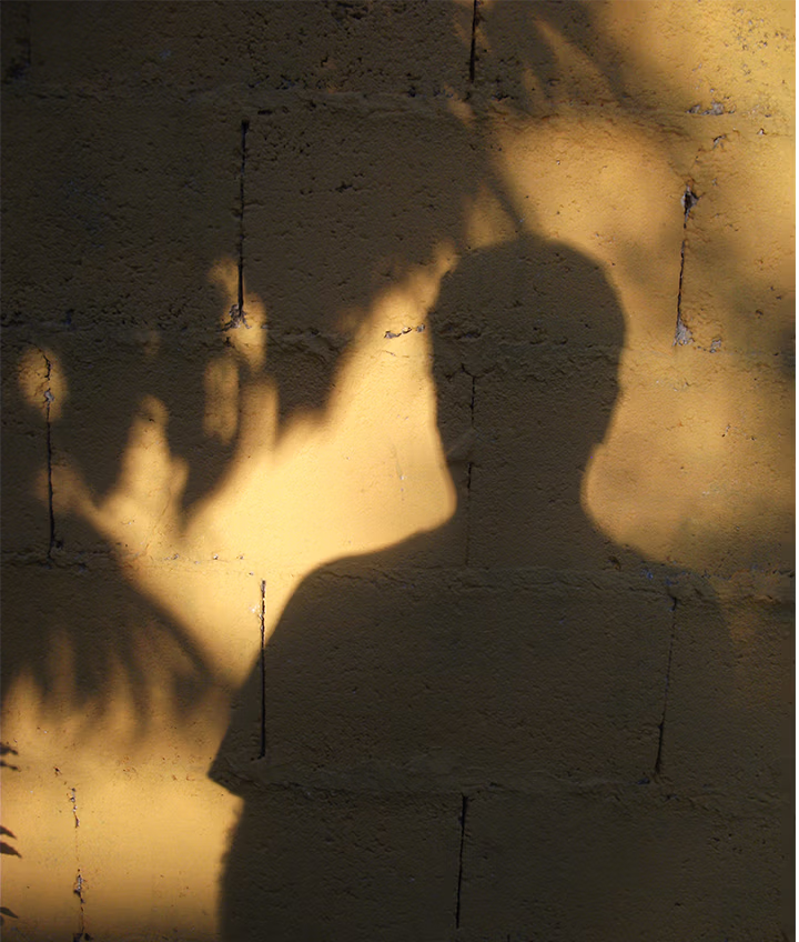 Shadow of a person's upper body and head cast on a textured yellow brick wall with some leaf shadows.