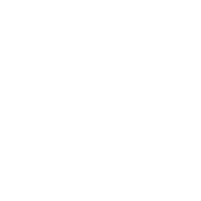 The Art of Dental Wellness