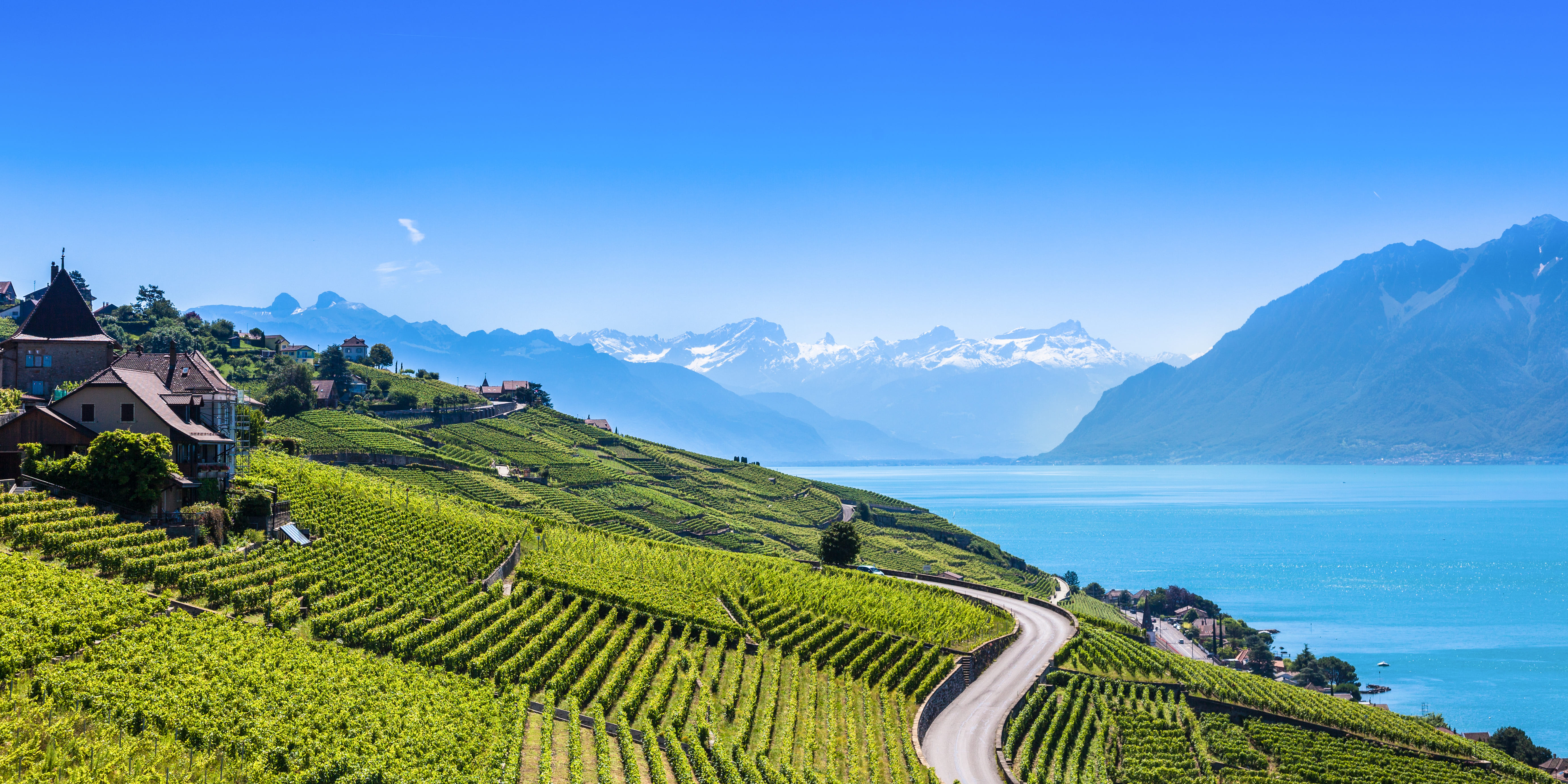 Lake Geneva and the Lavaux vineyards
