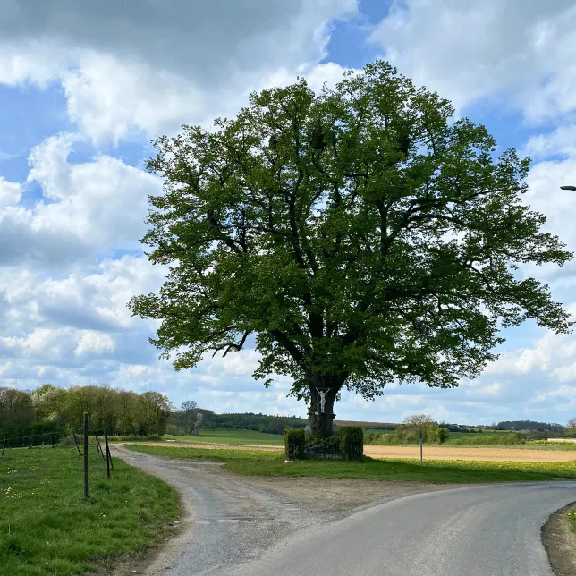 Arbre avec un crucifix à la base au croisement de deux chemins en campagne sous un ciel nuageux.