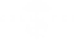 Logo Collazzi