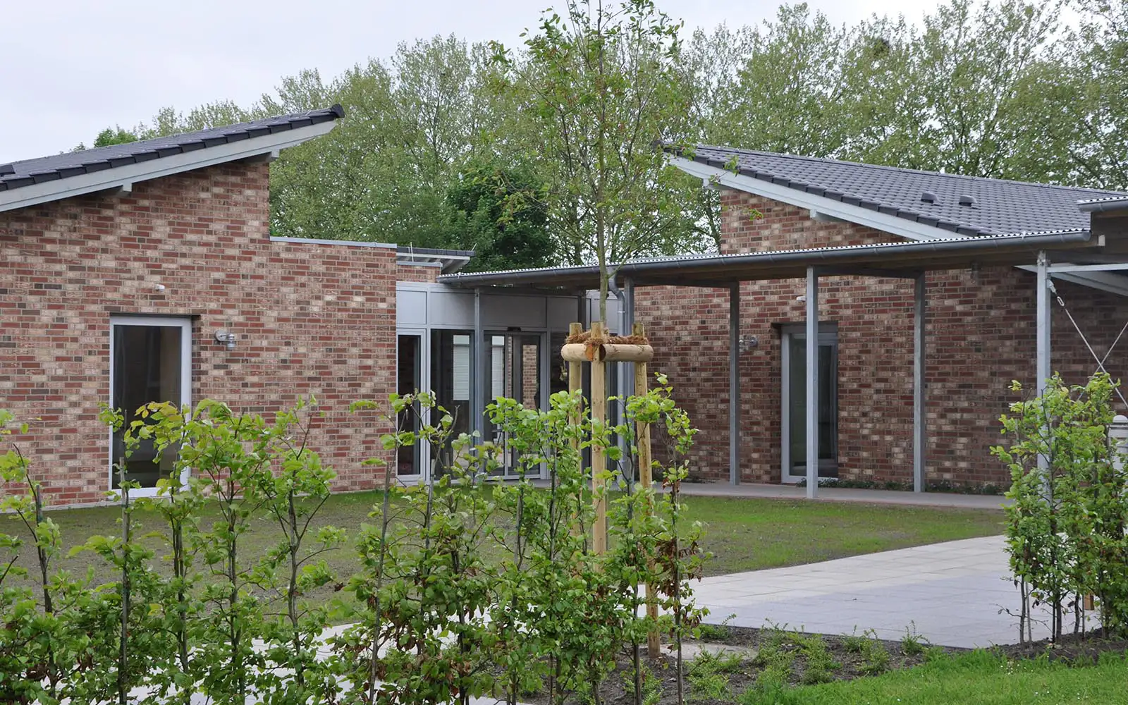 Modern back view of brick buildings with a new young tree and shrubs in a green courtyard.