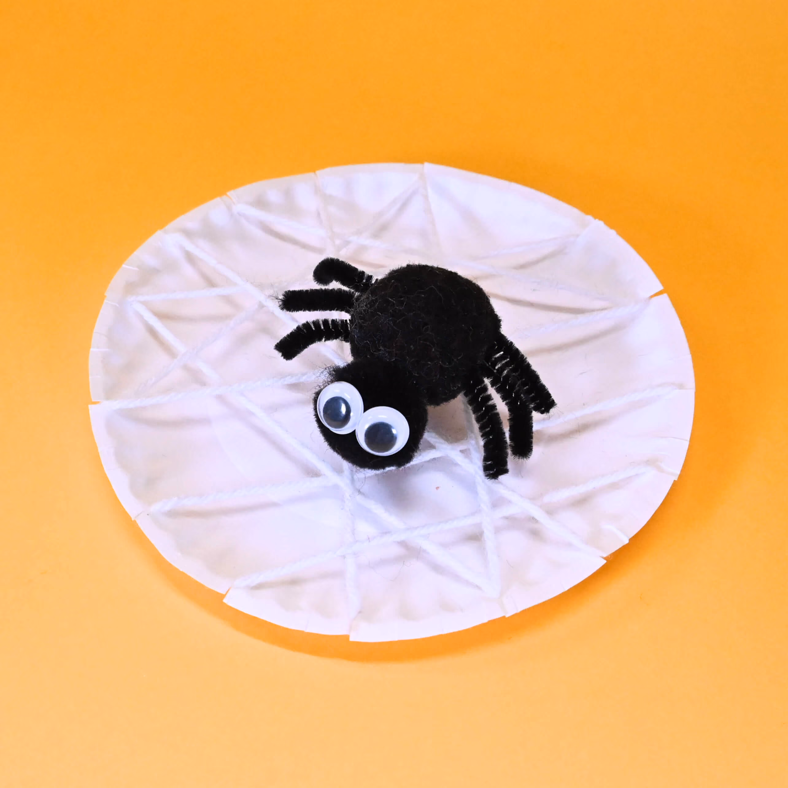 Spider in web Project