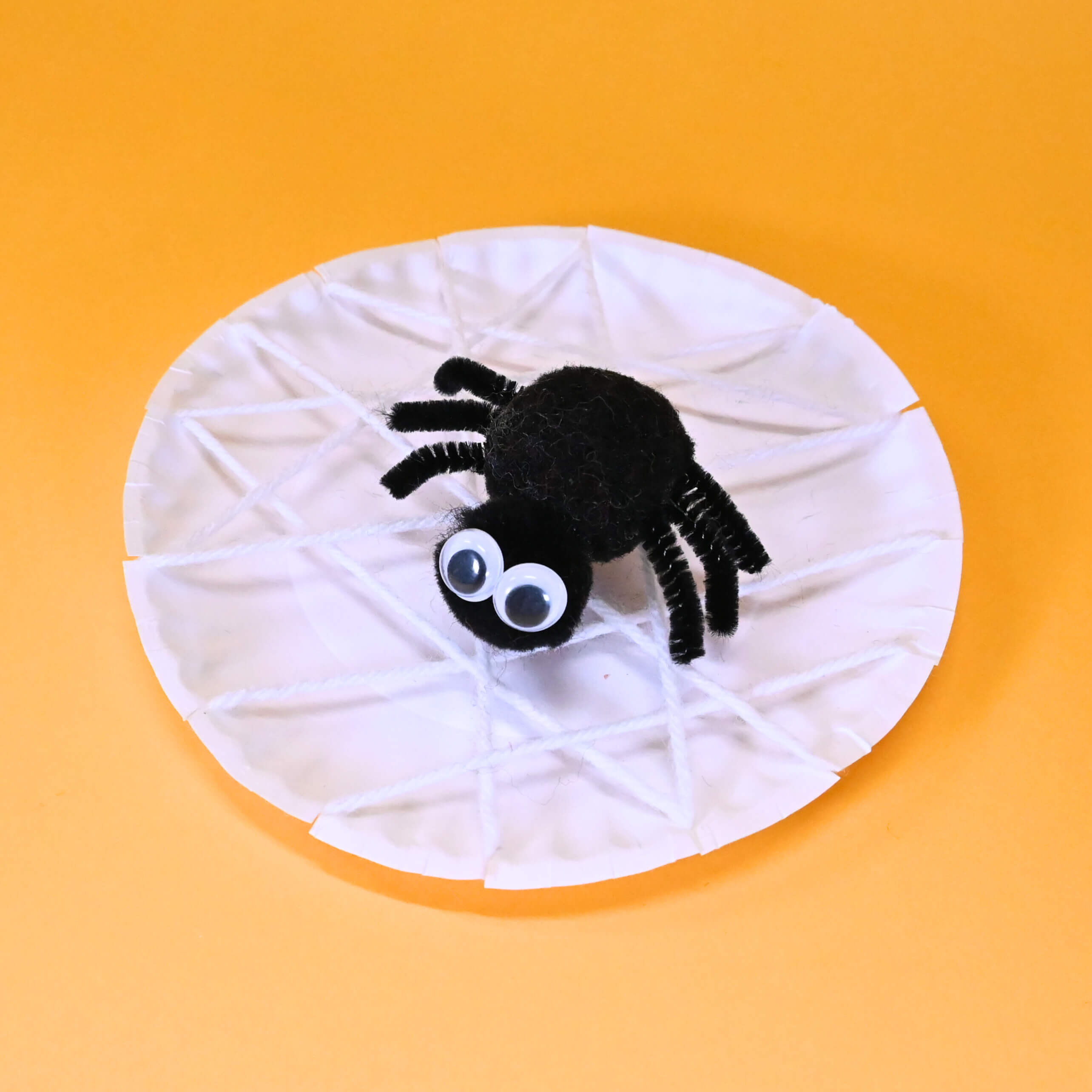 Spider in web Project