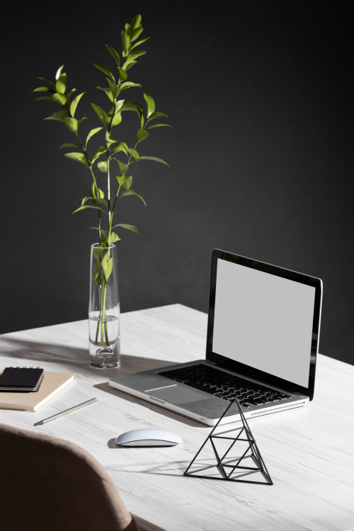 Portfolio Image
