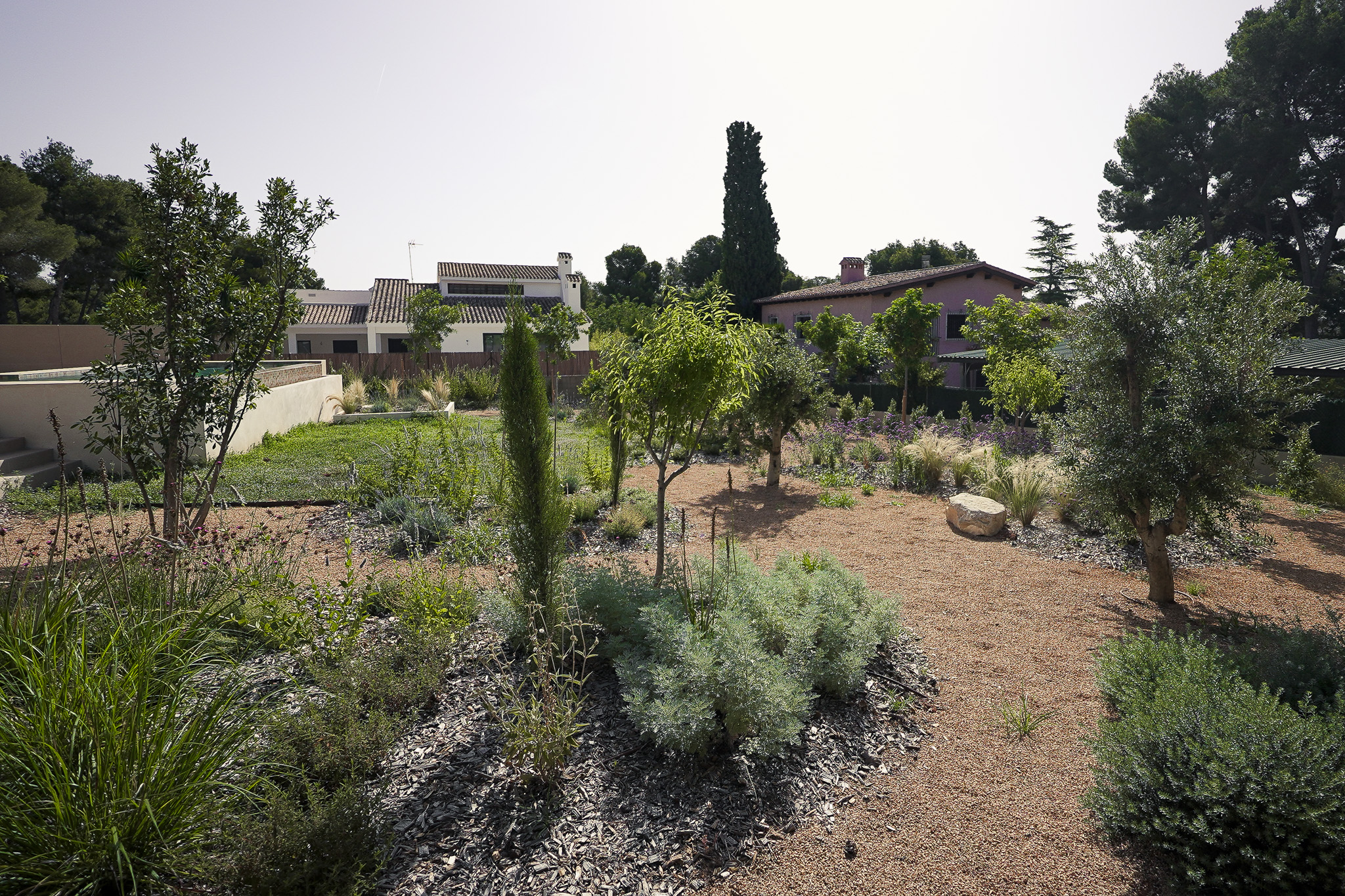 El Bosque