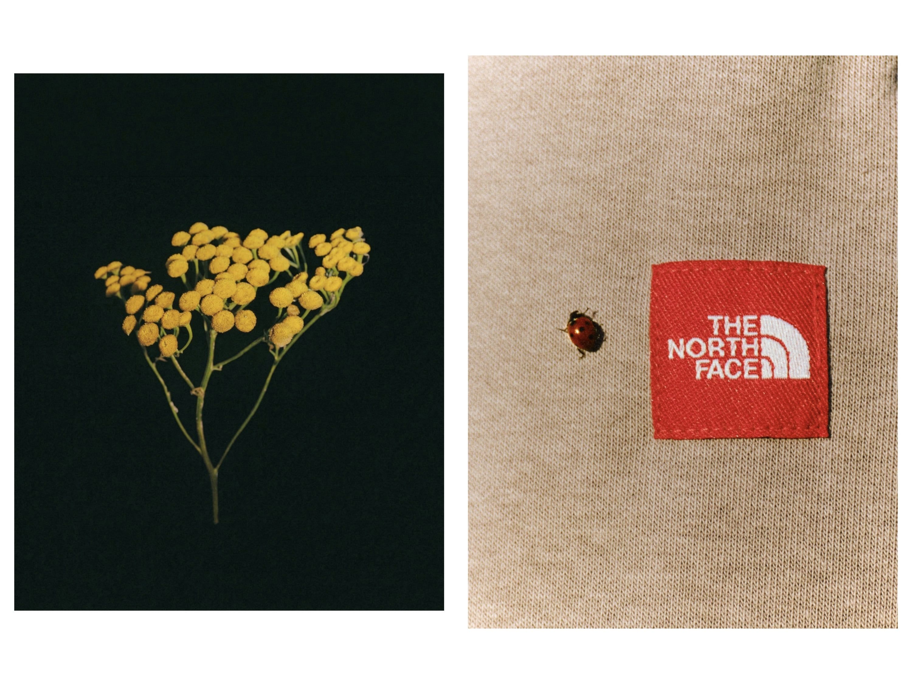 The North Face RedBox logo and tactile beige product detail