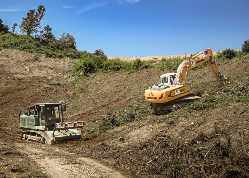 Forstmulcher und Bagger bei der Rodung eines Hangs