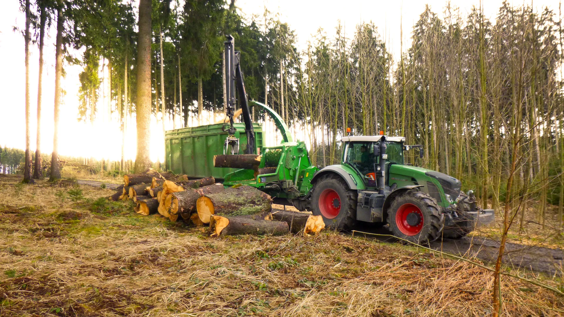 Traktor mit Holzhacker beim Hacken von Stammholz im Wald